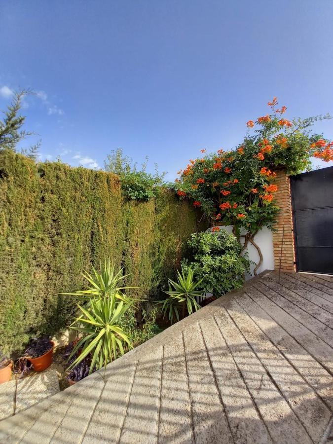 Belicena Casa Rural Xauen 빌라 외부 사진